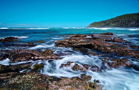 Wyrrabalong National Park - Accommodation Coffs Harbour 0
