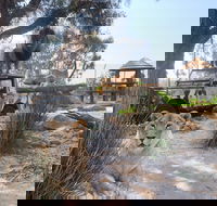 Zambi Wildlife Retreat - Accommodation Coffs Harbour