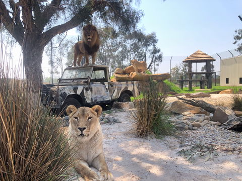 Zambi Wildlife Retreat - Accommodation Coffs Harbour 0