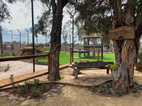 Zambi Wildlife Retreat - Accommodation Coffs Harbour 1
