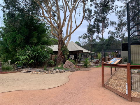 Zambi Wildlife Retreat - Accommodation Coffs Harbour 2