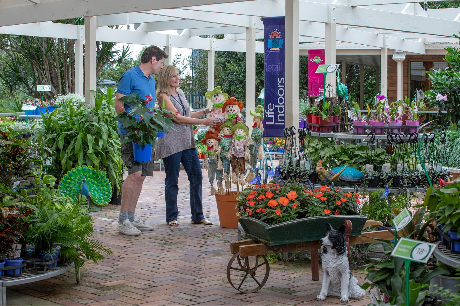 Munruben QLD Accommodation Coffs Harbour