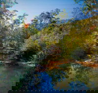 Bargo State Conservation Area - Accommodation Coffs Harbour