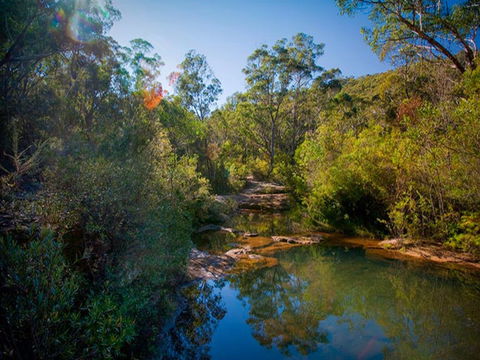Bargo State Conservation Area - Accommodation Coffs Harbour 0