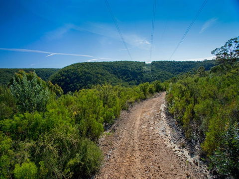 Bargo State Conservation Area - Accommodation Coffs Harbour 1