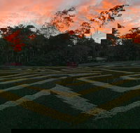Bellingham Maze - Accommodation Coffs Harbour
