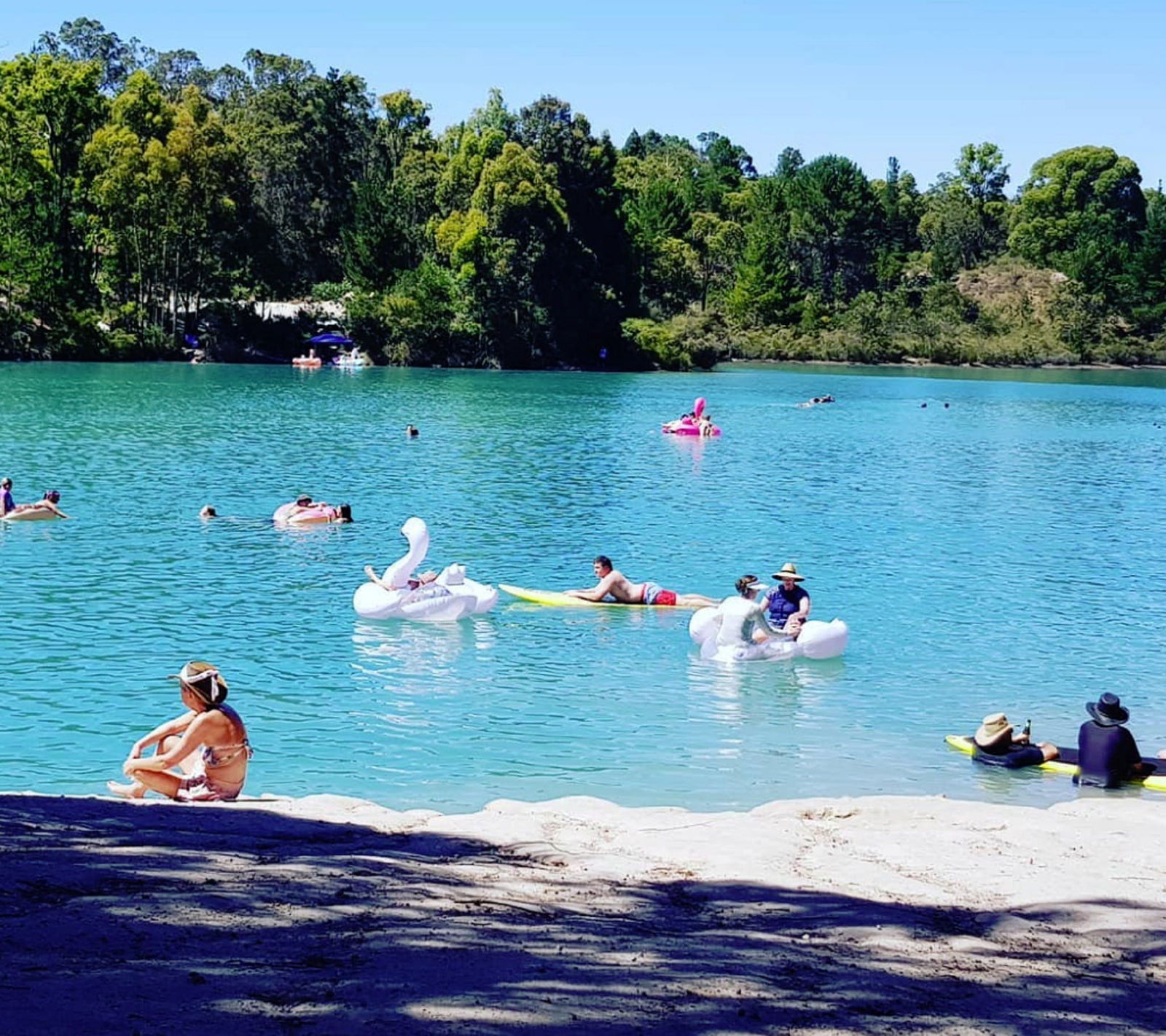 Allanson WA Accommodation Coffs Harbour