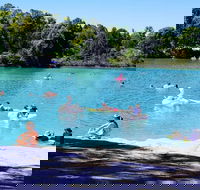 Black Diamond Lake - Accommodation Coffs Harbour