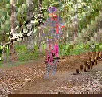 Bom Bom State Forest Mountain Bike Trails - Accommodation Coffs Harbour