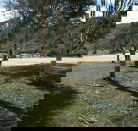 Bombala Platypus Reserve - Accommodation Coffs Harbour