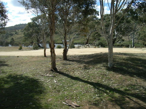 Bombala Platypus Reserve - Accommodation Coffs Harbour 0