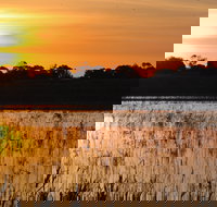 Bool Lagoon Game Reserve and Hacks Lagoon Conservation Park - Accommodation Coffs Harbour