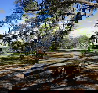 Bowen Mountain Park - Accommodation Coffs Harbour