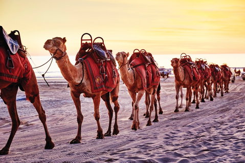 Broome And The Kimberley Coast - Accommodation Coffs Harbour 0