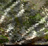 Buddong Falls Walking Track - Accommodation Coffs Harbour