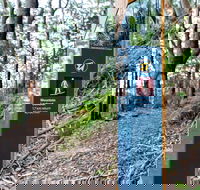 Bulahdelah Mountain Aboriginal Place - Accommodation Coffs Harbour
