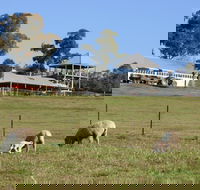 Calmsley Hill City Farm - Accommodation Coffs Harbour