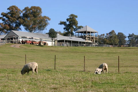 Calmsley Hill City Farm - Accommodation Coffs Harbour 0