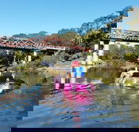 Canoeing at Clarence Town - Accommodation Coffs Harbour