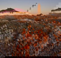 Cape Willoughby Heritage Trail - Accommodation Coffs Harbour