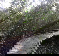 Carole Green Walkway - John Oxley Reserve - Accommodation Coffs Harbour