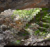 Cave Creek Walking Track - Accommodation Coffs Harbour