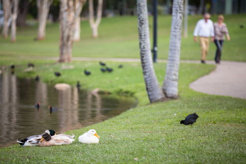 Centenary Lakes Park - Accommodation Coffs Harbour 2