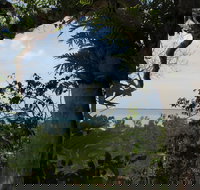 Channel Point Coastal Reserve - Accommodation Coffs Harbour