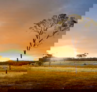 Cooyar - Accommodation Coffs Harbour