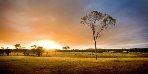Cooyar - Accommodation Coffs Harbour 0