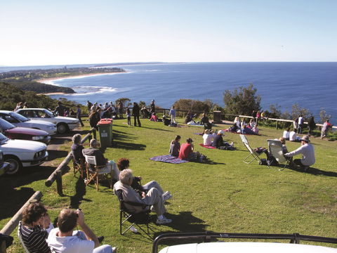 Crackneck Point Lookout - Accommodation Coffs Harbour 0