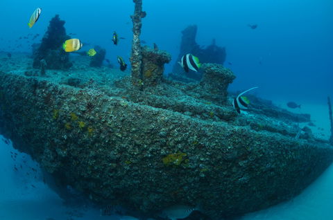 Curtin Artificial Reef Dive Site - Accommodation Coffs Harbour 1