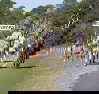 Dayboro - Accommodation Coffs Harbour