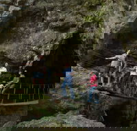 Day trips from Rockhampton - Accommodation Coffs Harbour