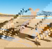 Diamond Head Beach - Accommodation Coffs Harbour