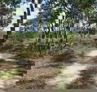 Djukbinj National Park - Accommodation Coffs Harbour