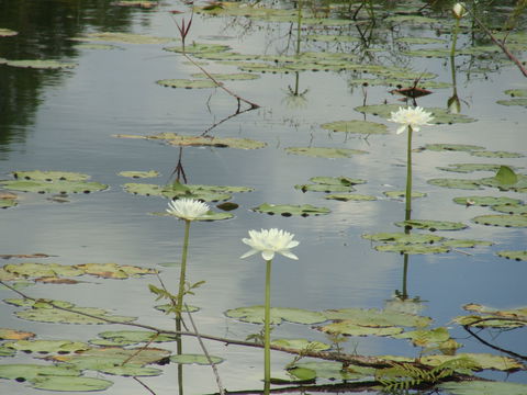 Djukbinj National Park - Accommodation Coffs Harbour 1