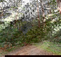 End Peak walking track - Accommodation Coffs Harbour