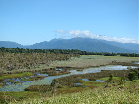 Eubenangee Swamp National Park - Accommodation Coffs Harbour 0