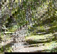 Euglah Rock Walking Track - Accommodation Coffs Harbour
