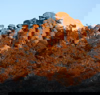 Evans Crown Nature Reserve - Accommodation Coffs Harbour