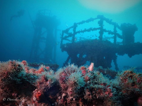 Ex HMAS Adelaide - Accommodation Coffs Harbour 0