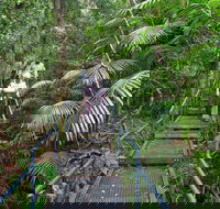 Falls walking track - Accommodation Coffs Harbour