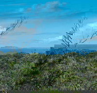 Forest Walking Track Crowdy Bay National Park - Accommodation Coffs Harbour