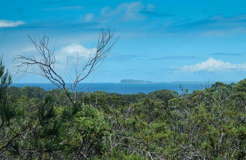 Forest Walking Track, Crowdy Bay National Park - Accommodation Coffs Harbour 0