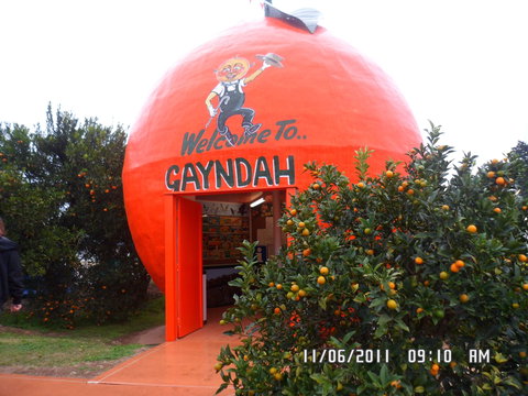 Gayndah's Big Orange - Accommodation Coffs Harbour 2