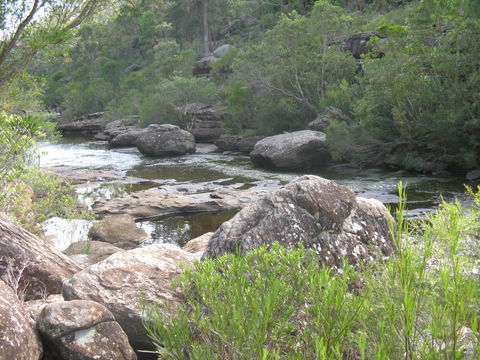 Georges River Nature Reserve - Accommodation Coffs Harbour 1