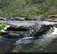 Georges River Nature Reserve - Accommodation Coffs Harbour
