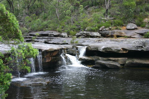 Georges River Nature Reserve - Accommodation Coffs Harbour 0