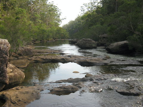 Georges River Nature Reserve - Accommodation Coffs Harbour 2